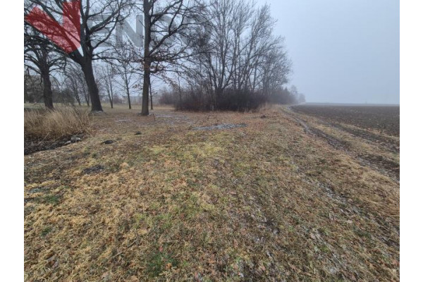 wrocławski, Sob&oacute;tka, Ręk&oacute;w, OKAZJA/duża działka budowlana/m.Ręk&oacute;w gm. Sob&oacute;tka